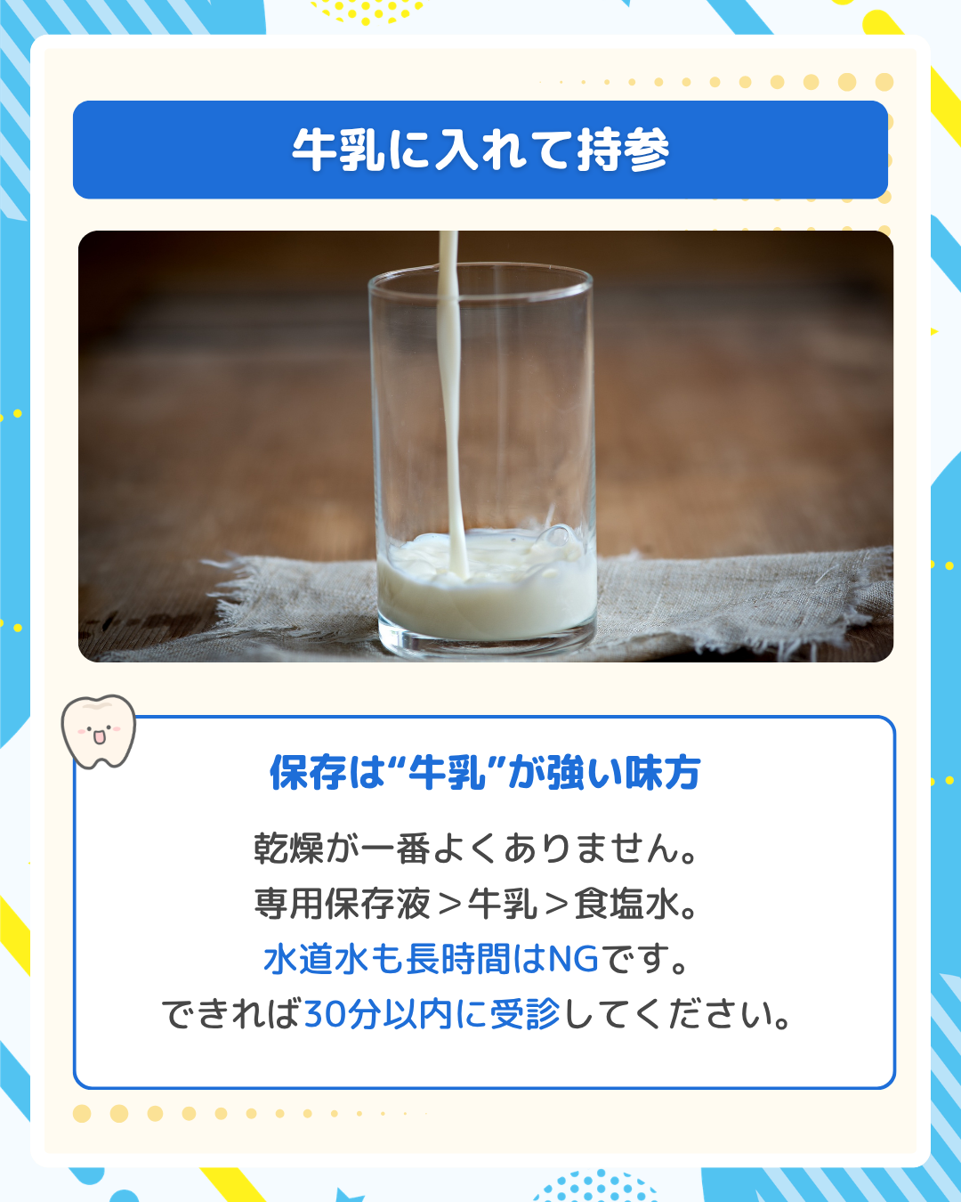 抜けた歯を保存するための牛乳